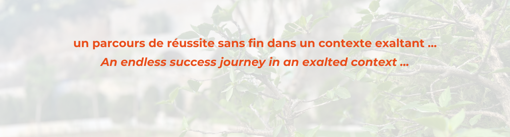 Télécharger notre brochure numérique